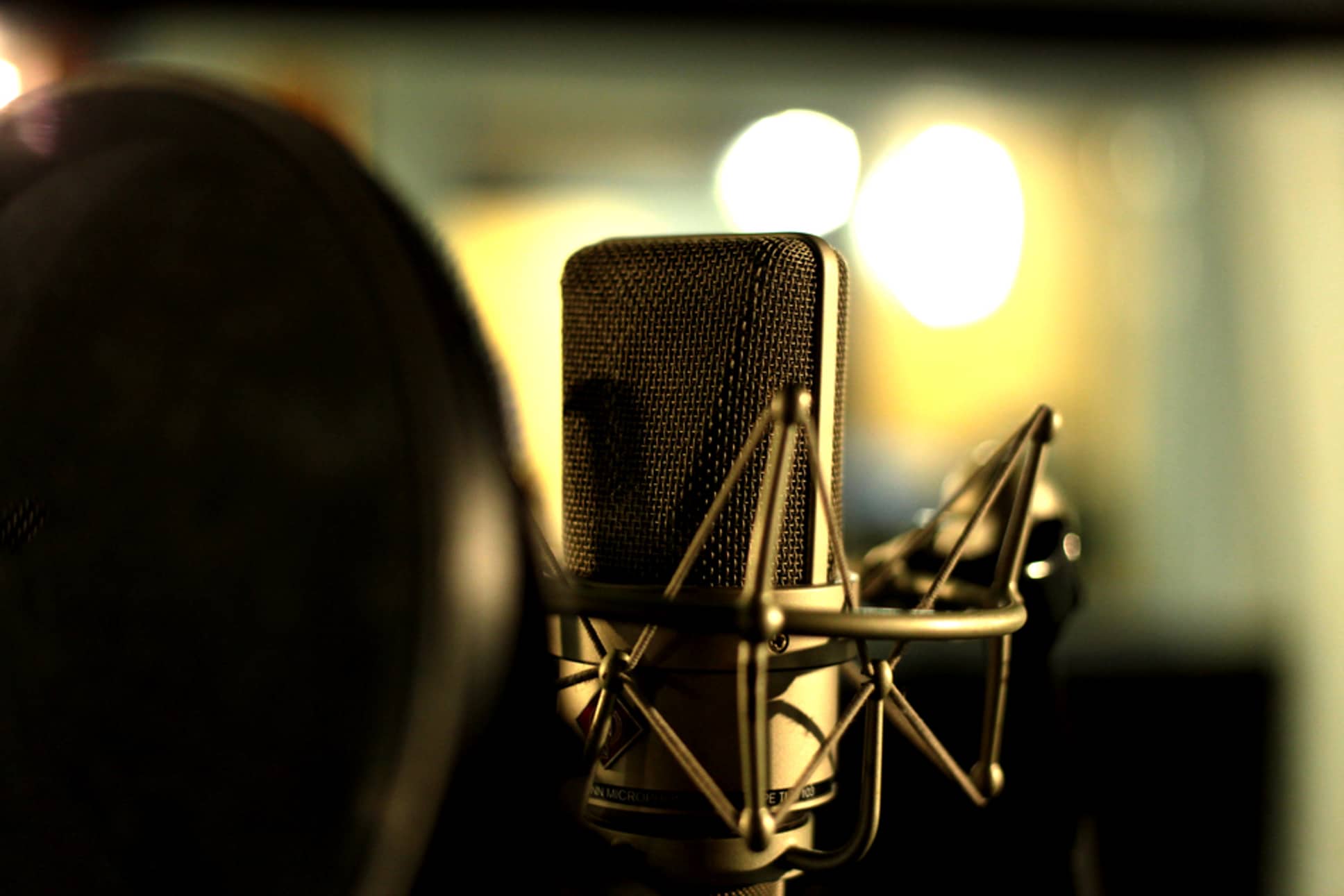 studio microphone microphone on shockmount